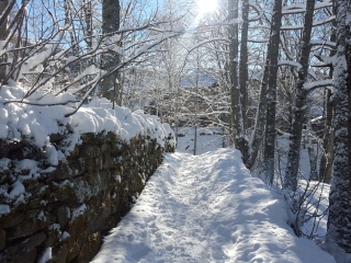 20160213_093450