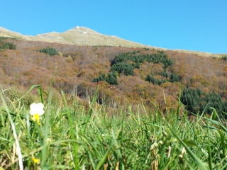 20141024_161703_Android